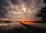 Nature Art Color IX
