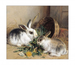 Bunnies' Meal II