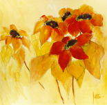 Sunshiny I