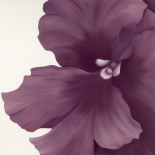Violet Flower I