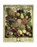 Fruits of the Season - Winter