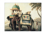 Indian Elephants II