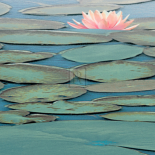 Lily Pool III