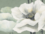 Poppy in Green II