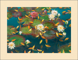 Lily Pad I