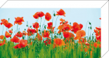 Poppy Field