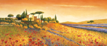 Sunlight Country