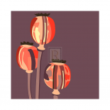 Poppy Pods