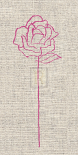 Romantic Rose II
