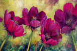 Cosmos
