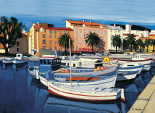 Barques de p&ecirc;cheurs dans le port d'Ajaccio
