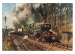Cathedrals Express