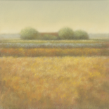 Grey group of trees