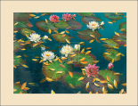 Lily Pad II