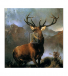 Monarch of the Glen