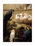 A Select Committee