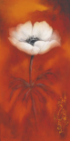 Anemone II
