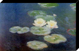 Ninfee 1914-1917
