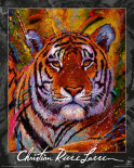 Lassen - Tiger