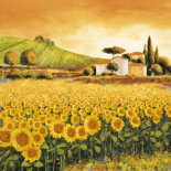 Valley Of Sunflowers