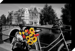 Tulips from Amsterdam