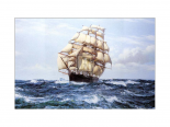 Racing Home - 'The Cutty Sark'