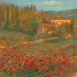 Provencal Village VI
