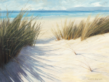 Dune Pathway