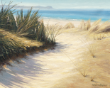 Pathway to the Beach