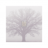 Soft Light I