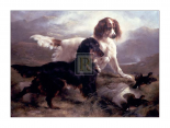 Two Setters in a Highland Landscape