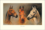 We Three Kings
