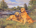 River Rest