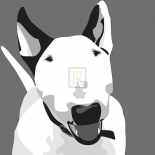 Bull Terrier