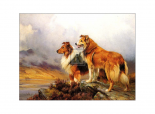 Collies in a Highland Landscape