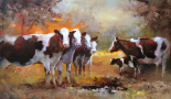 Calf
