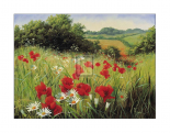 Sunlit Meadow