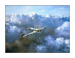 Flight of Freedom