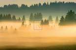 Misty Ridge I