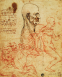 Studio Della Fisionomia Umana E Cavalieri