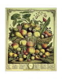 Fruits of the Season - Summer