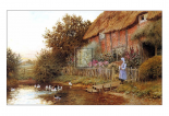 Rustic Retreat