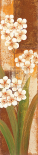 Tropical Blossom I