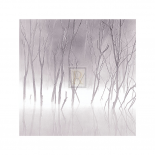 Soft Light II