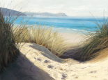 Dune Shadows
