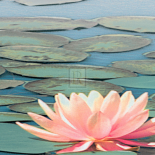 Lily Pool IV