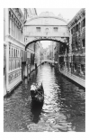 Venice Canal
