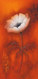 Anemone I